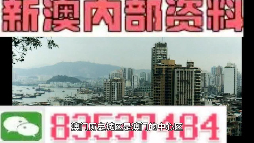 澳门最精准免费资料大全|精选解释解析落实