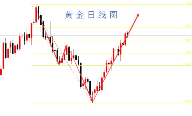 新奥今天最新资料晚上出冷汗|精选解释解析落实