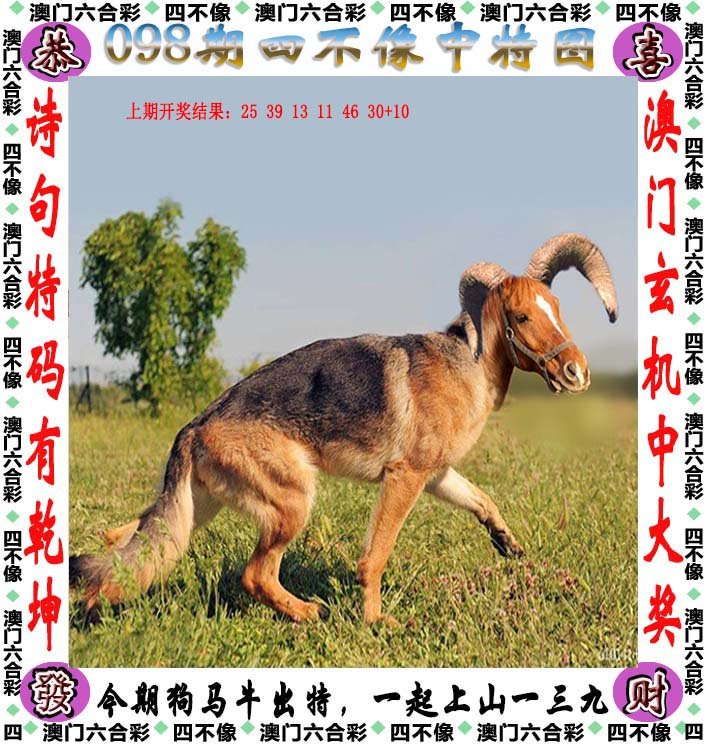 今天的四不像图肖图|精选解释解析落实