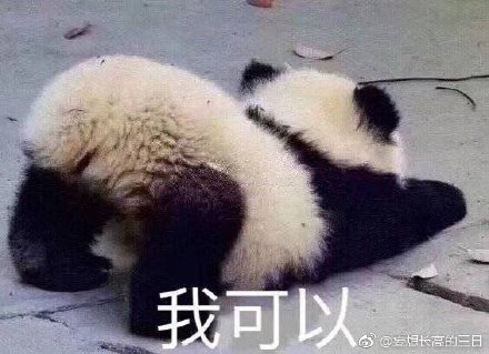 今期四不像图今晚|精选解释解析落实