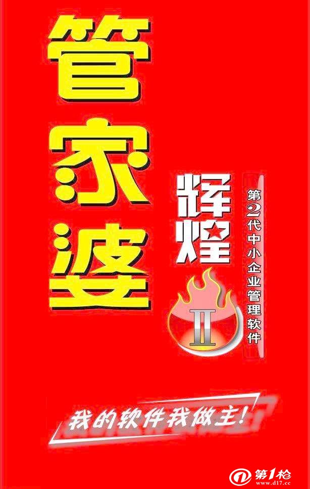 管家婆精准资料免费大全315期|精选解释解析落实