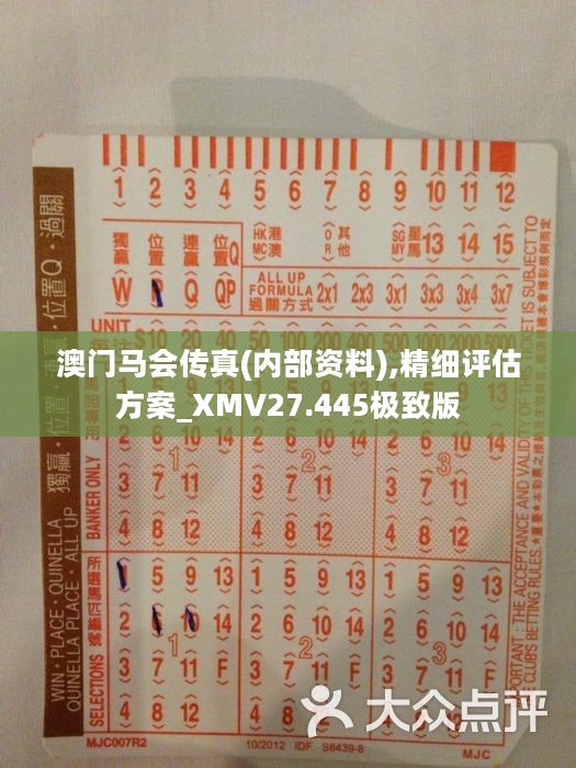 正版马会传真资料内部|精选解释解析落实