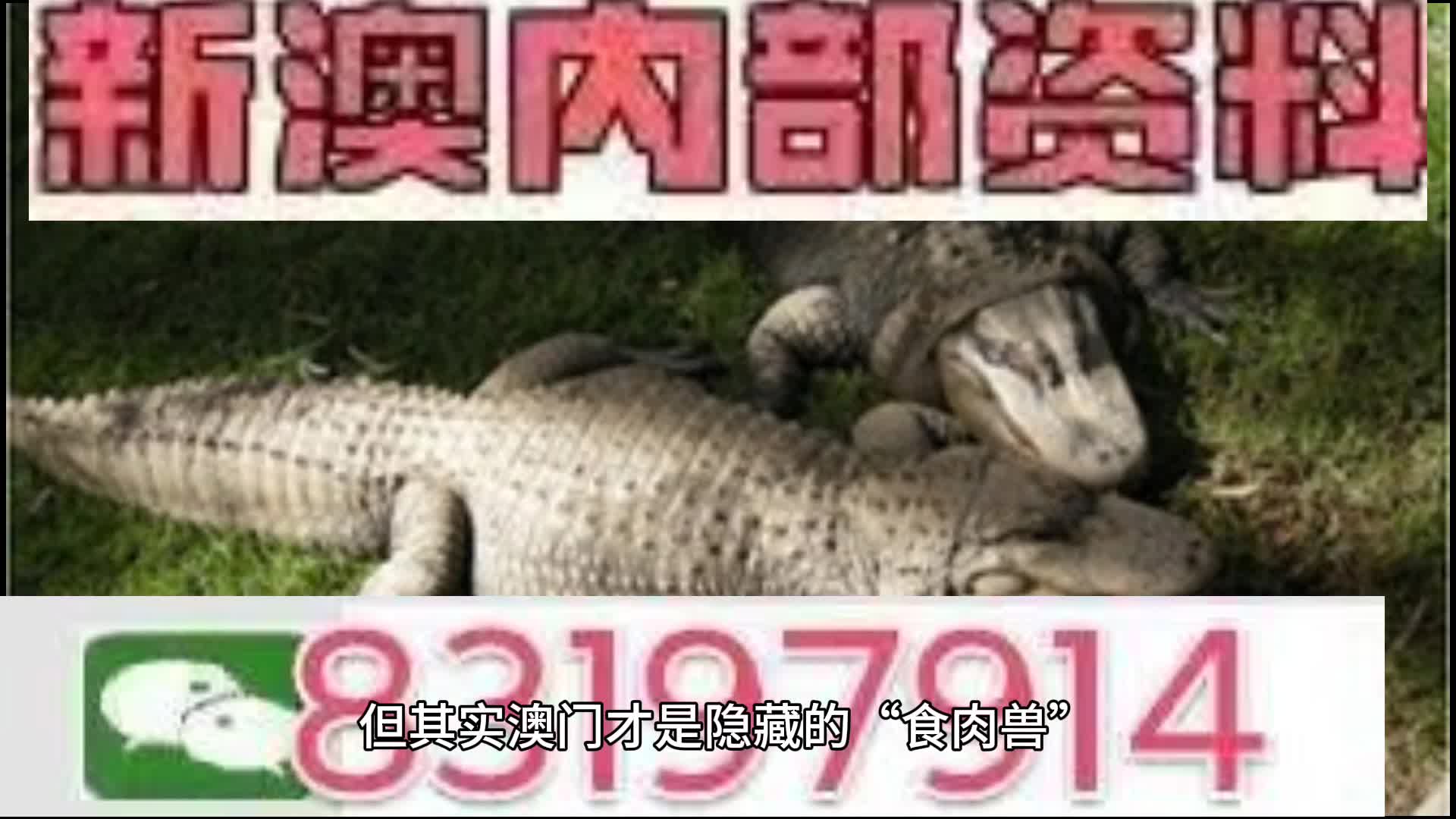 今晚澳门特马开什么号码事件|精选解释解析落实