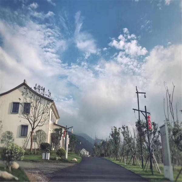 今晚澳门开什么生肖|精选解释解析落实