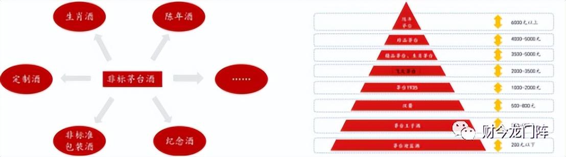 十二生肖与2025年之49个码|精选解释解析落实