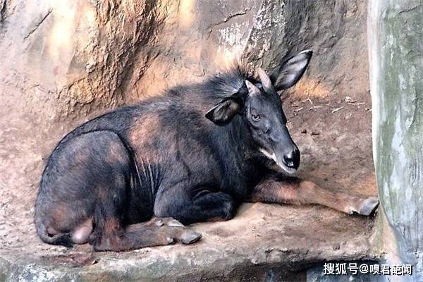 资讯 第318页