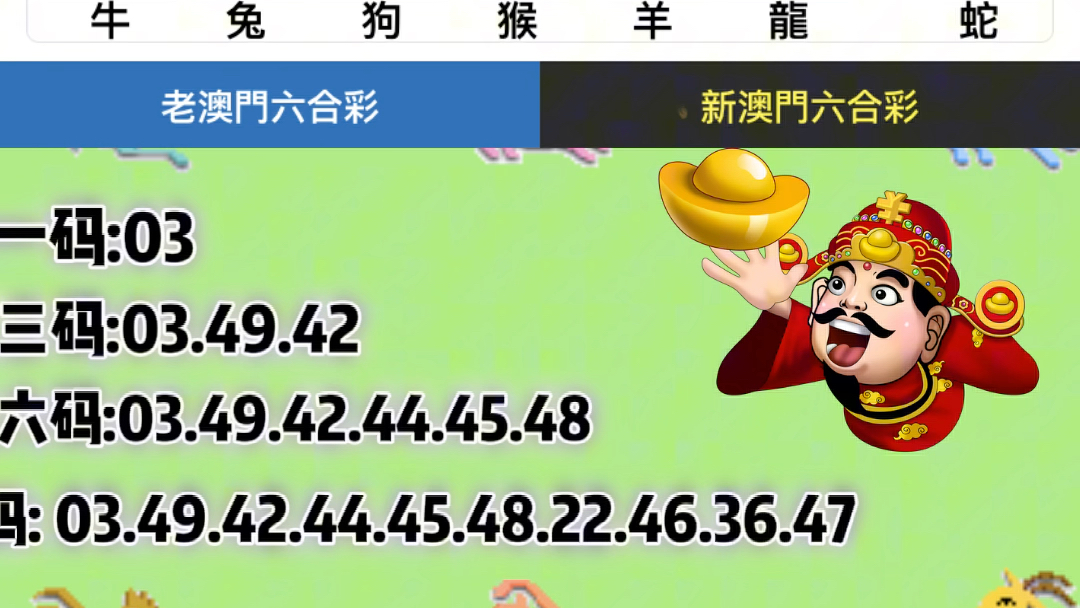 新澳门六开奖结果2025开奖记录查询网站|精选解释解析落实