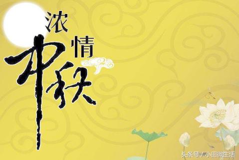 天天好采免费资料大全|精选解释解析落实