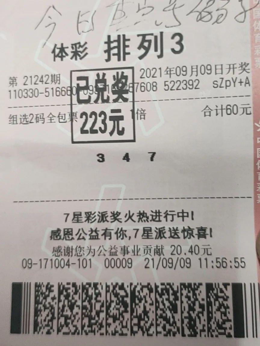 一码一码中奖免费公开资料|精选解释解析落实