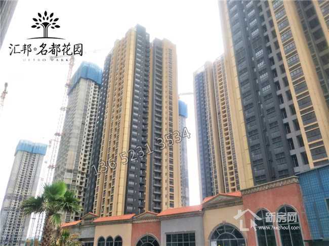 黄大仙三肖三码必中三,揭秘黄大仙三肖三码，探寻必中之秘