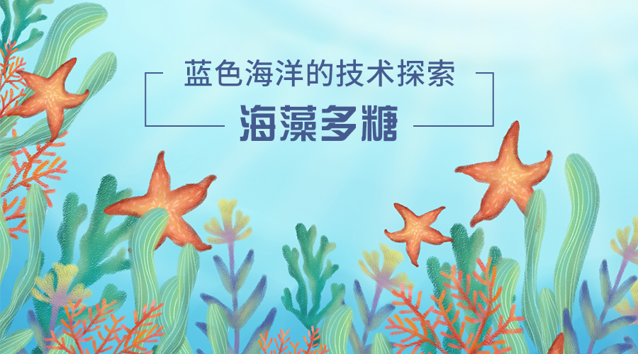 正版资料免费大全,正版资料免费大全，探索与分享的知识海洋