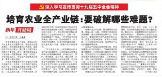王中王72396网站,王中王72396网站，探索与启示