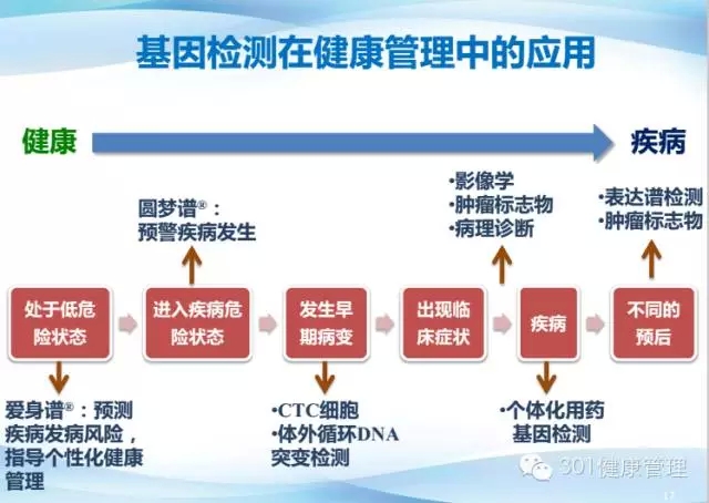2025澳门六开彩免费精准大全,澳门六开彩的风险与防范，精准预测背后的真相探索