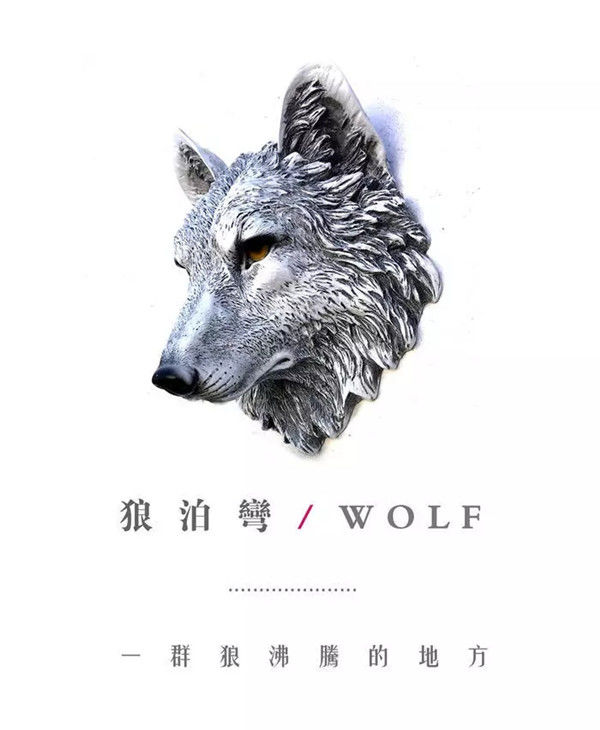 今期四不像图今晚,今期四不像图，探索艺术的神秘魅力与今晚的独特呈现