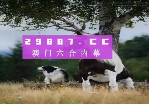 澳门最准的四不像资料游戏,澳门最准的四不像资料游戏，探索与解析