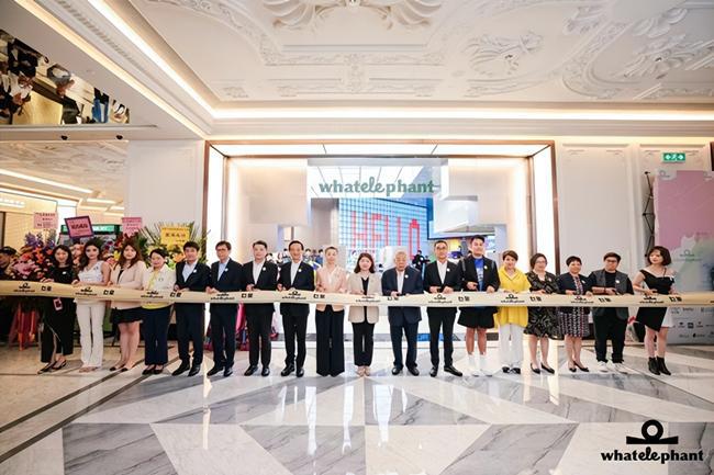 2025今晚澳门开特马,探索澳门特马文化，2025今晚的魅力盛宴