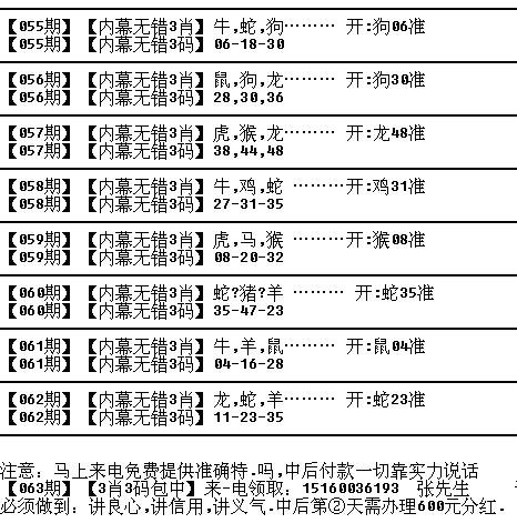 一码一肖一特早出晚,一码一肖一特早，城市生活的早出晚归与数字时代的独特魅力