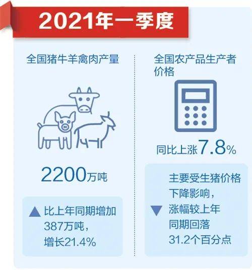 澳门王中王100精准数据解读,澳门王中王100精准数据解读，揭开幸运的面纱