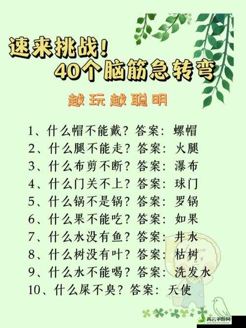 2025年免费脑筋急转弯,2025年免费脑筋急转弯盛宴，挑战你的思维极限