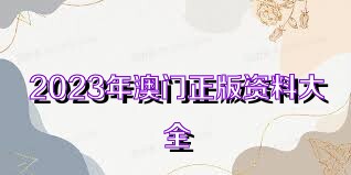 2025澳门资料正版大全,澳门正版资料大全，探索与揭秘2025年澳门的新面貌