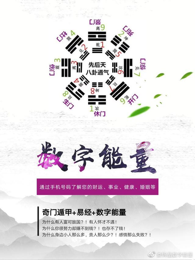 7777788888一肖一码,探索神秘数字组合，77777与88888一肖一码