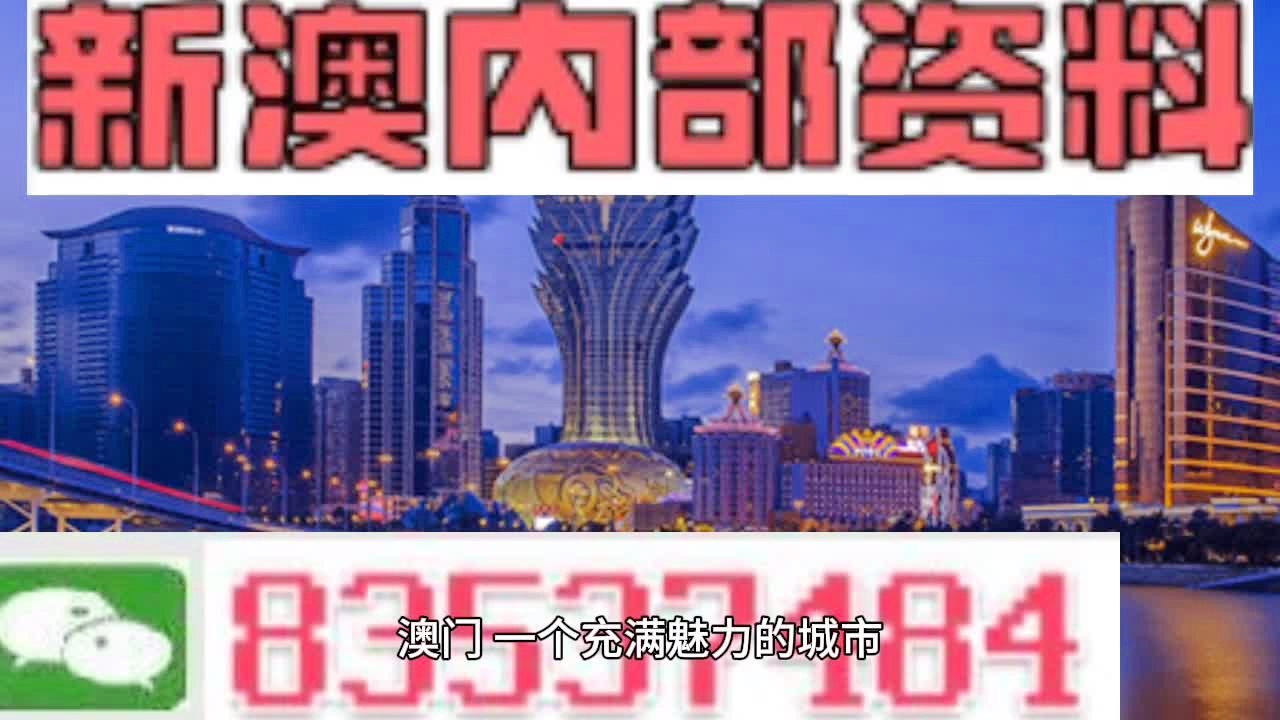 澳门9点内部码群,澳门九点内部码群，探索与解析