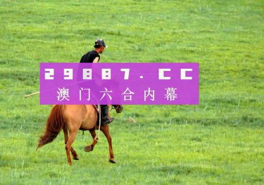 新闻 第206页
