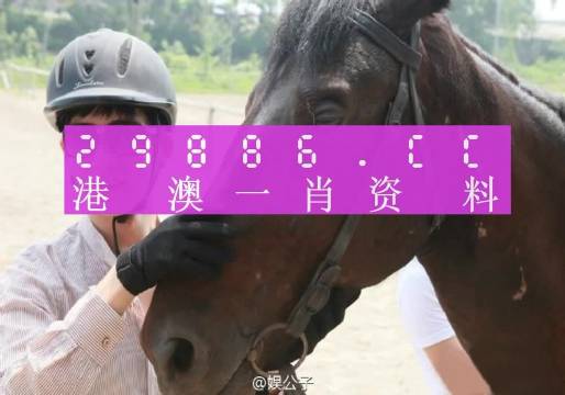 今晚澳门最准一肖一码,今晚澳门最准一肖一码，揭秘预测背后的秘密