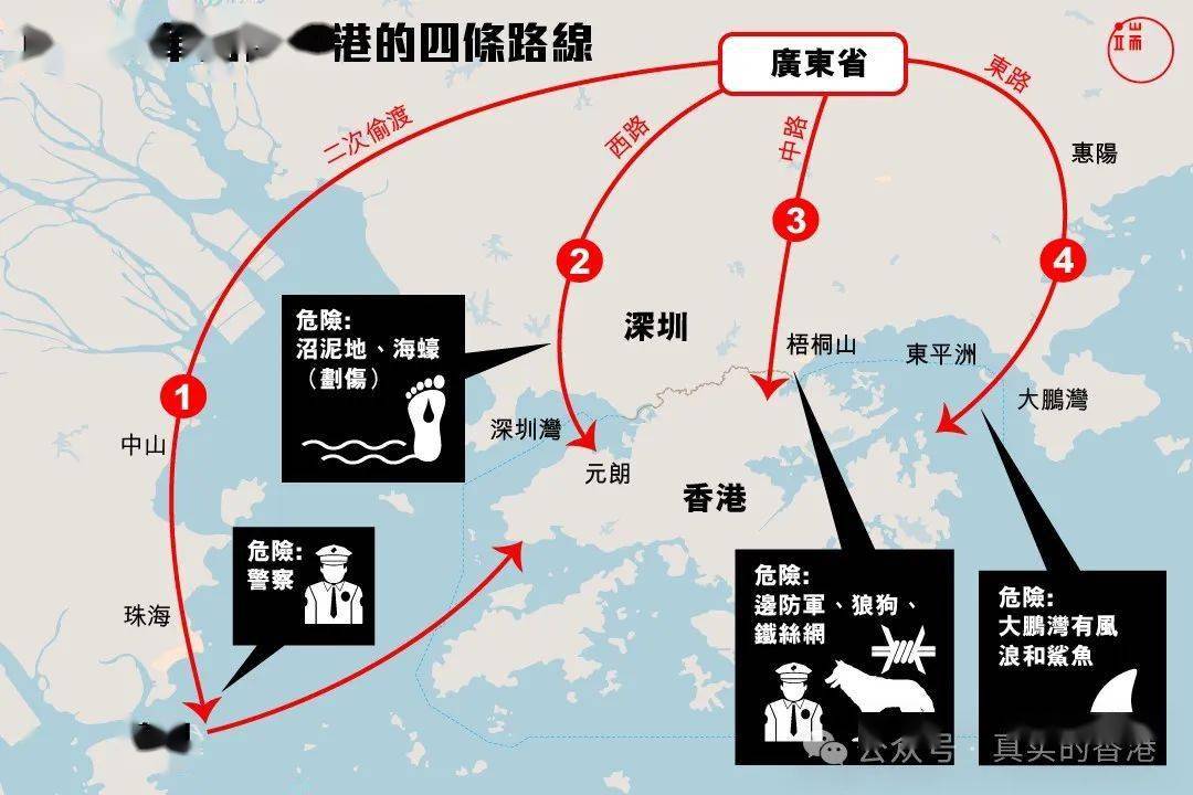494949最快开奖结果香港下载,探索香港最快开奖结果，494949的下载奇迹
