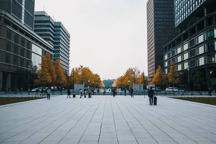 新澳2025最新资料大全,新澳2025最新资料大全，深度解析与前瞻展望