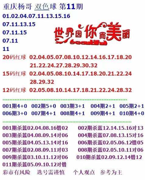 新澳天天开奖免费资料查询,新澳天天开奖免费资料查询，探索彩票世界的秘密
