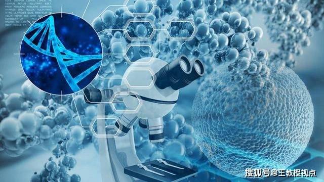 2025新臭精准资料大全,2025新臭精准资料大全，探索未来趋势与机遇
