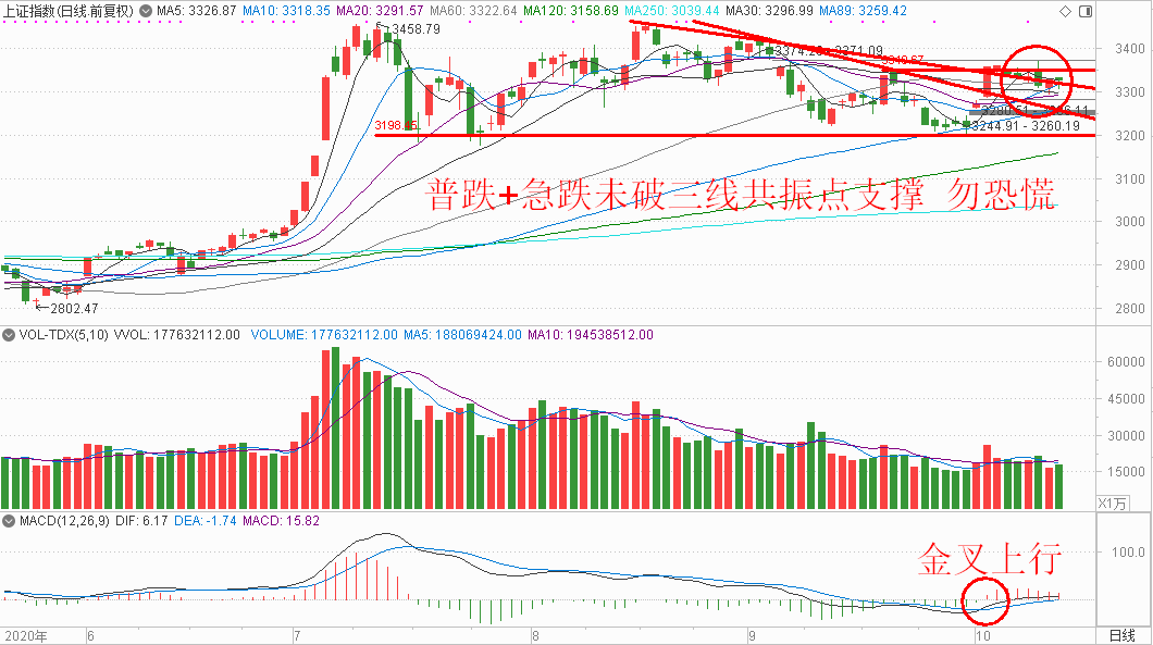 2025澳门特马今晚开奖53期,澳门特马今晚开奖53期，期待与悬念的交织
