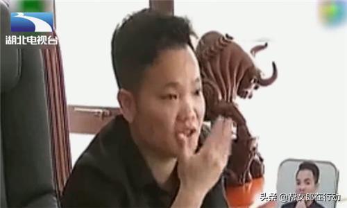 今晚正版四不像一肖图图片,今晚正版四不像一肖图图片的魅力与探索