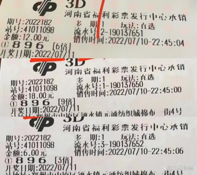 2025免费天天彩资料汇总600,探索未来彩票世界，2025免费天天彩资料汇总