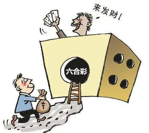 香港6合开奖结果+开奖记录2025,香港六合彩开奖结果及开奖记录展望2025