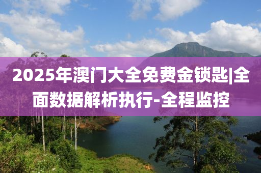 2025年澳门大全免费金锁匙,2025年澳门大全免费金锁匙——探索未来的奥秘与机遇