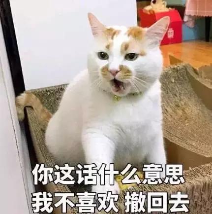 正版四不像资料生肖图,正版四不像资料生肖图，探寻神秘生肖世界的独特魅力