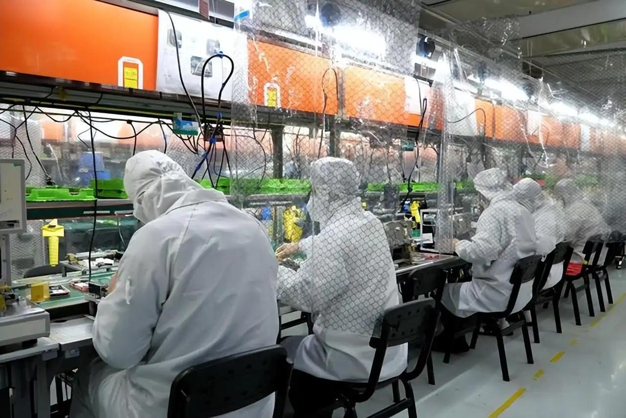 2025年资料免费大全优势,迈向未来，2025年资料免费大全的优势及其影响