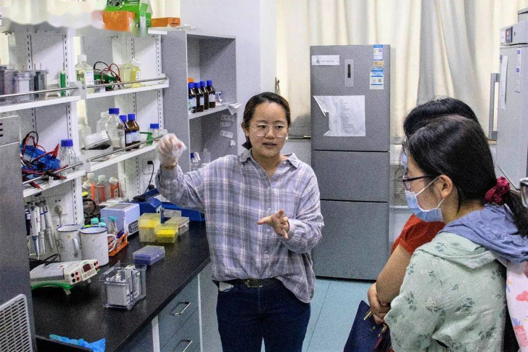 2025澳门天天开好彩挂牌,澳门未来展望，2025年天天开好彩挂牌的繁荣景象