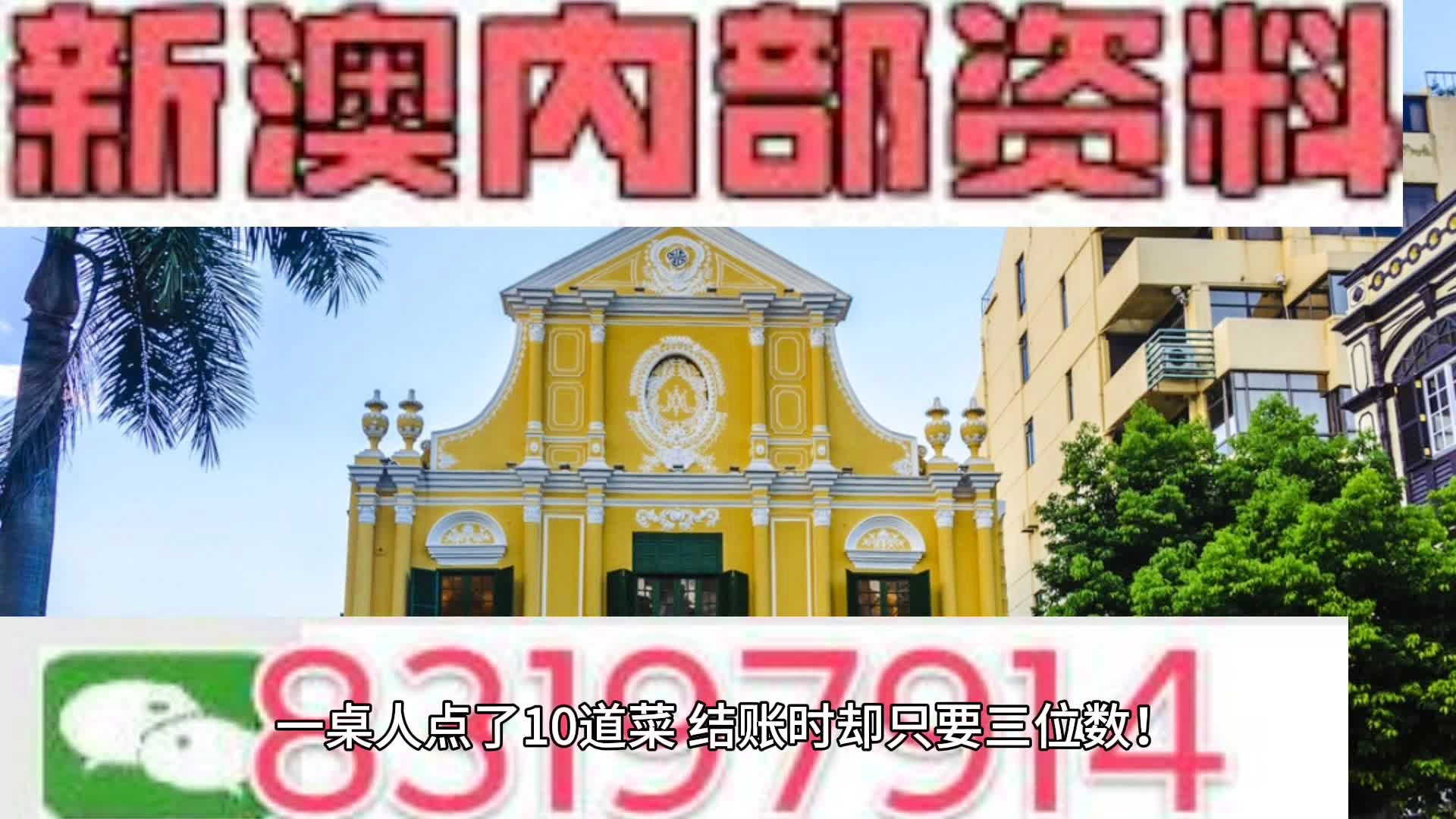 澳门大网站vip资料,澳门大网站VIP资料，探索澳门的多元魅力