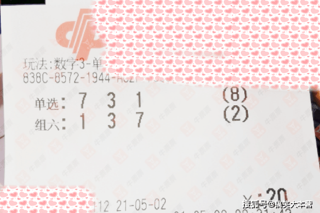 2025年新澳门今晚开奖结果查询,探索未来彩票魅力，2025年新澳门今晚开奖结果查询