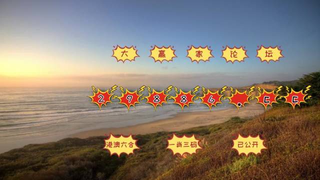2025新澳门天天开好彩,探索新澳门，2025年天天开好彩的无限魅力