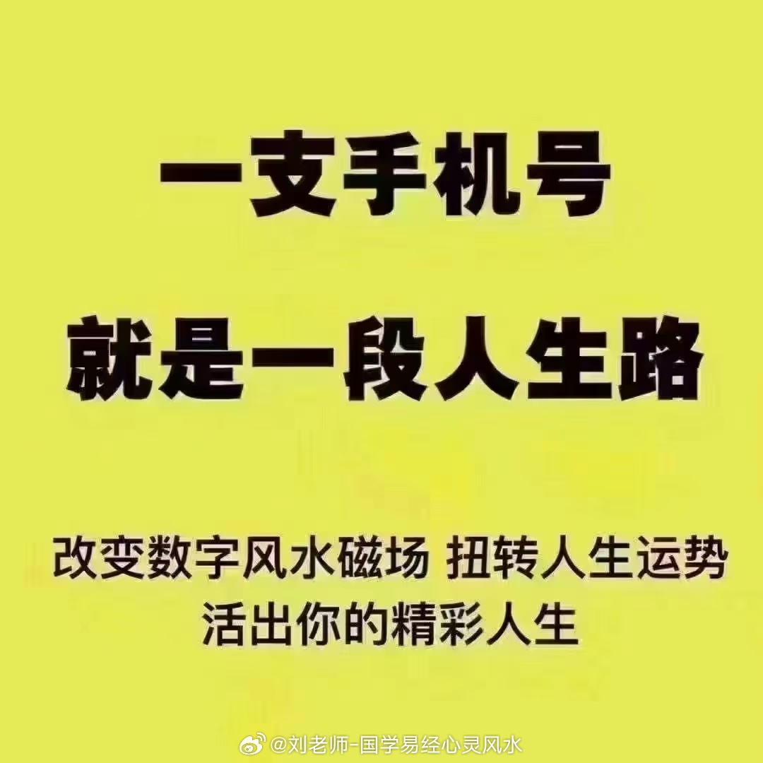 精准一肖一码100,精准一肖一码，揭秘预测技巧与成功之道（1458字文章）