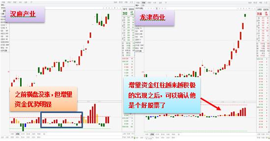 新澳门今晚精准3,新澳门今晚精准预测，探索未来的可能性与期待