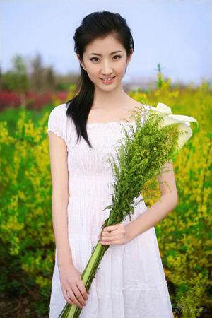 新澳门彩出特12生肖走势,新澳门彩出特十二生肖走势深度解析