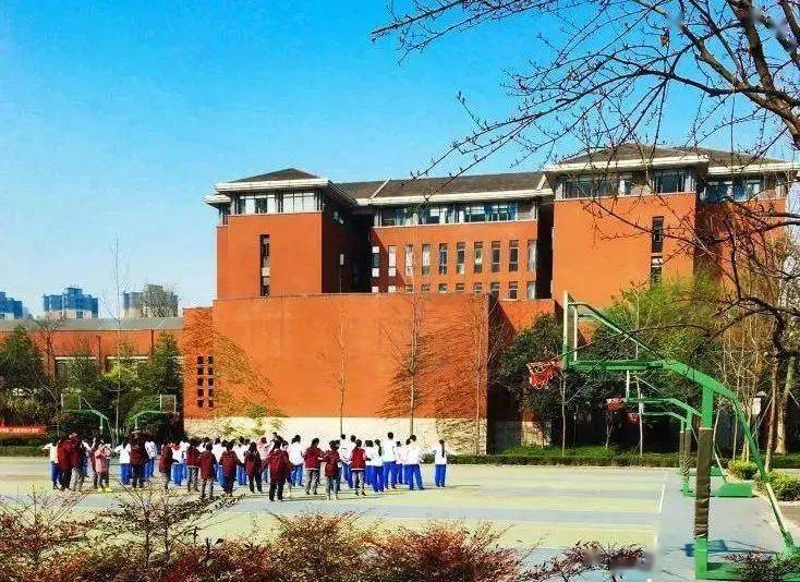 四不像中特图2025年27期图片,揭秘四不像中特图，2025年27期图片的独特魅力