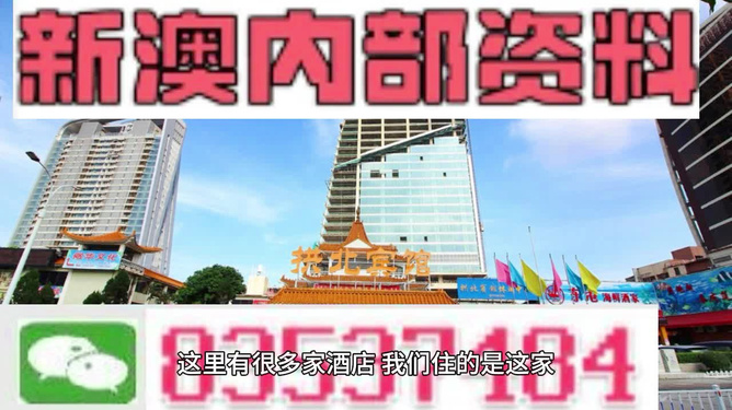 2025新澳今晚资料八佰力,探索未来，2025新澳今晚资料与八佰力的交汇