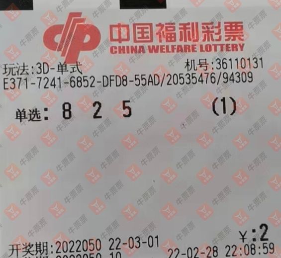 澳门今晚一肖必中特,澳门今晚一肖必中特，揭秘生肖彩票的魅力与策略