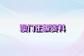 2025新澳门正版免费资料,探索澳门正版资料，2025新澳门正版免费资料的独特魅力